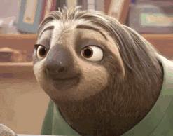 疯狂动物园20种隐藏动物图片,疯狂动物城里女明星原型