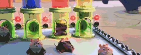 疯狂动物园20种隐藏动物图片,疯狂动物城里女明星原型