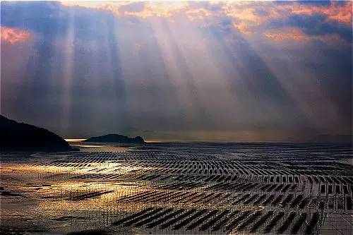 福州现在最新楼盘价格,福州各楼盘房价查询