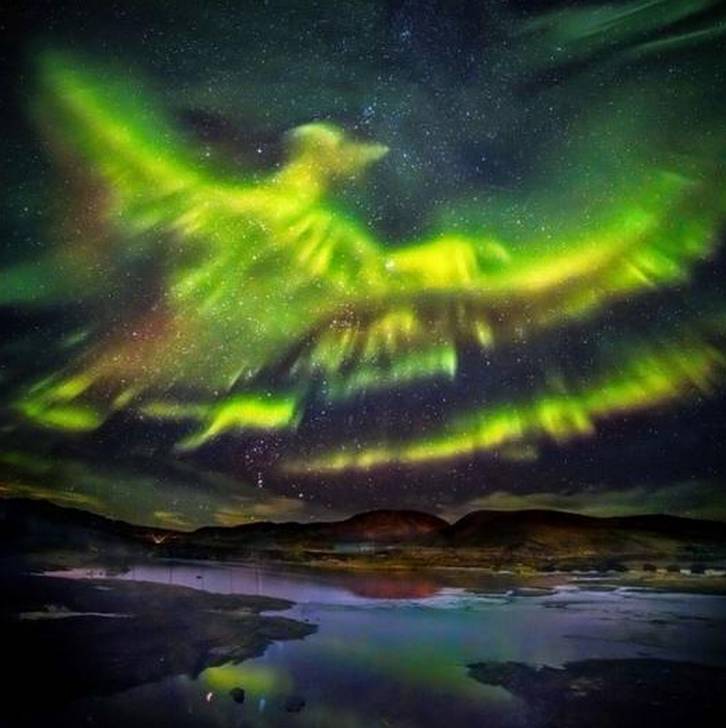 摄影师记录分娩环球网,摄影师记录分娩过程