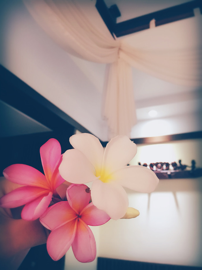 梦幻巴厘只属于你我的蜜月~~逗逼文字、气质趣图