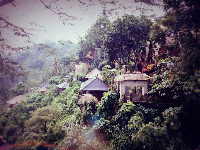 梦幻巴厘只属于你我的蜜月~~逗逼文字、气质趣图