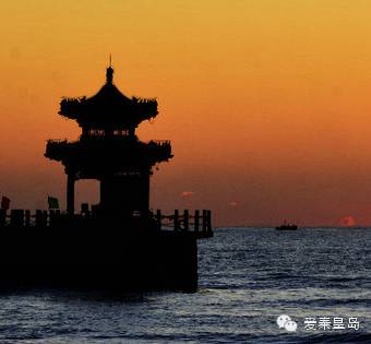 秦皇岛海鲜不重样,秦皇岛海鲜推荐