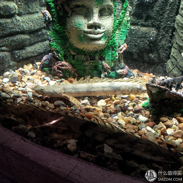 黑莓q10翻新,黑莓q10还有全新的吗