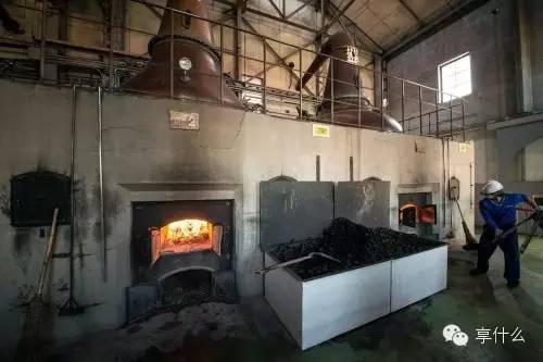 关于单一麦芽威士忌你需要了解的都在这里