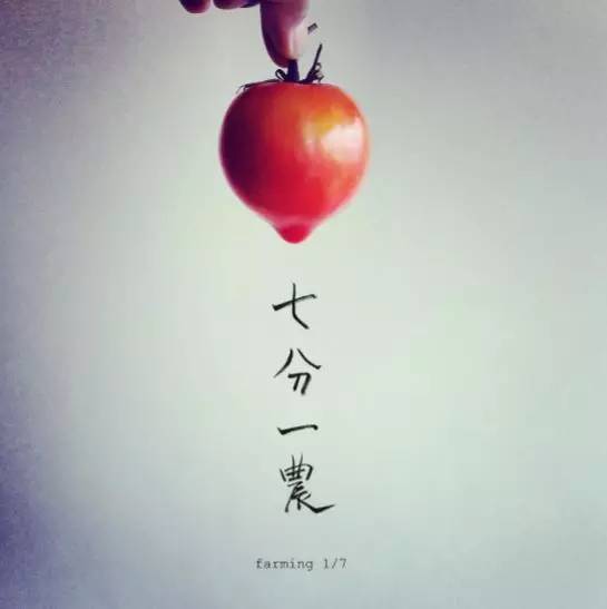 “1/7农”:如果每周只能下地一天,那就试试“懒人务农法”吧