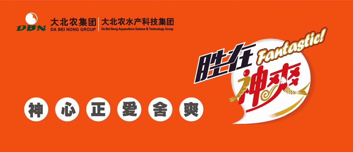 大连鲜参多少钱一斤,霞浦鲜海参价格