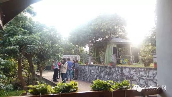 疗愈人的慧灵农场:一群很简单的人,在这里快乐、自在地生活