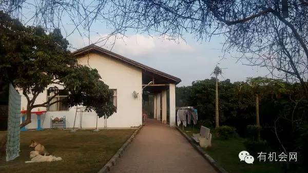 疗愈人的慧灵农场:一群很简单的人,在这里快乐、自在地生活