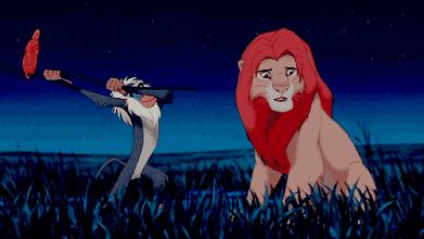 疯狂动物园20种隐藏动物图片,疯狂动物城里女明星原型