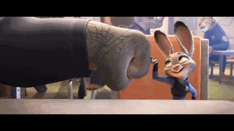 疯狂动物园20种隐藏动物图片,疯狂动物城里女明星原型