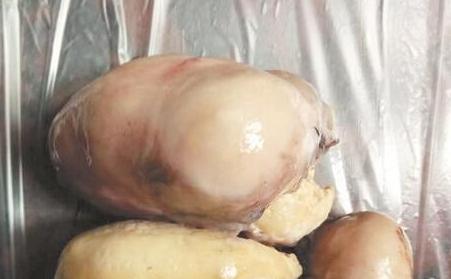 杀鸡取鸡宝价值400万,女子杀鸡时意外收获375克重的鸡宝