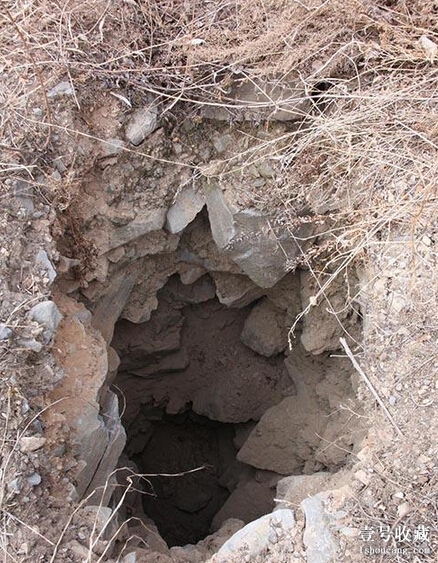 杀鸡取鸡宝价值400万,女子杀鸡时意外收获375克重的鸡宝