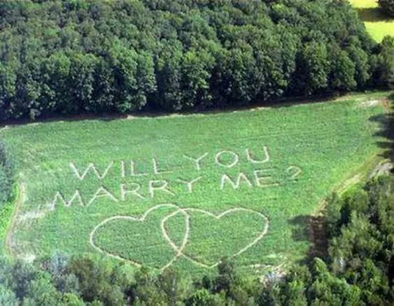 请求大家帮忙支招,求婚的100种方式合集