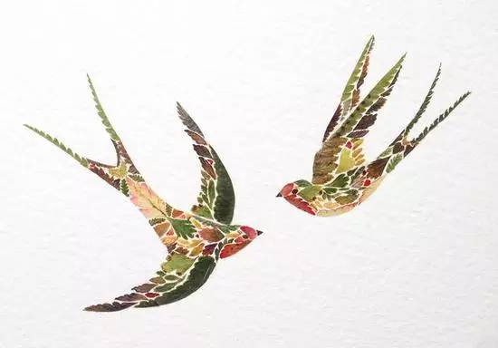 摄影师记录分娩环球网,摄影师记录分娩过程