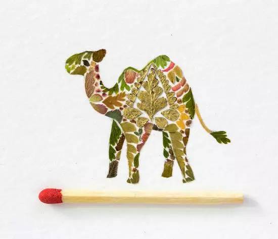 摄影师记录分娩环球网,摄影师记录分娩过程