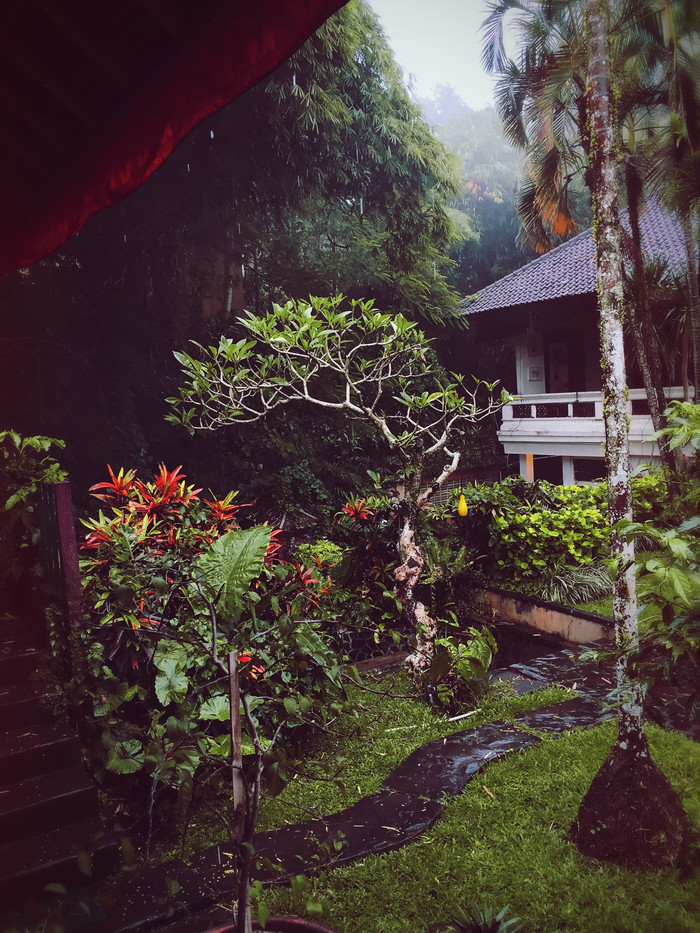 梦幻巴厘只属于你我的蜜月~~逗逼文字、气质趣图