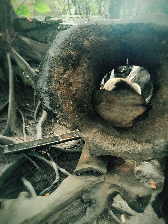 梦幻巴厘只属于你我的蜜月~~逗逼文字、气质趣图