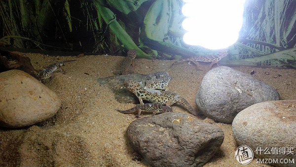 黑莓q10翻新,黑莓q10还有全新的吗