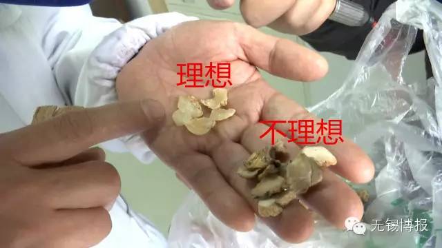 医院卖假药视频,关于药店卖假药的视频