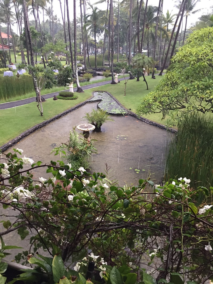 梦幻巴厘只属于你我的蜜月~~逗逼文字、气质趣图