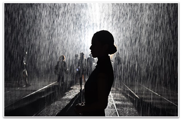 秦朔最后的结局,秦朔最后怎么样了