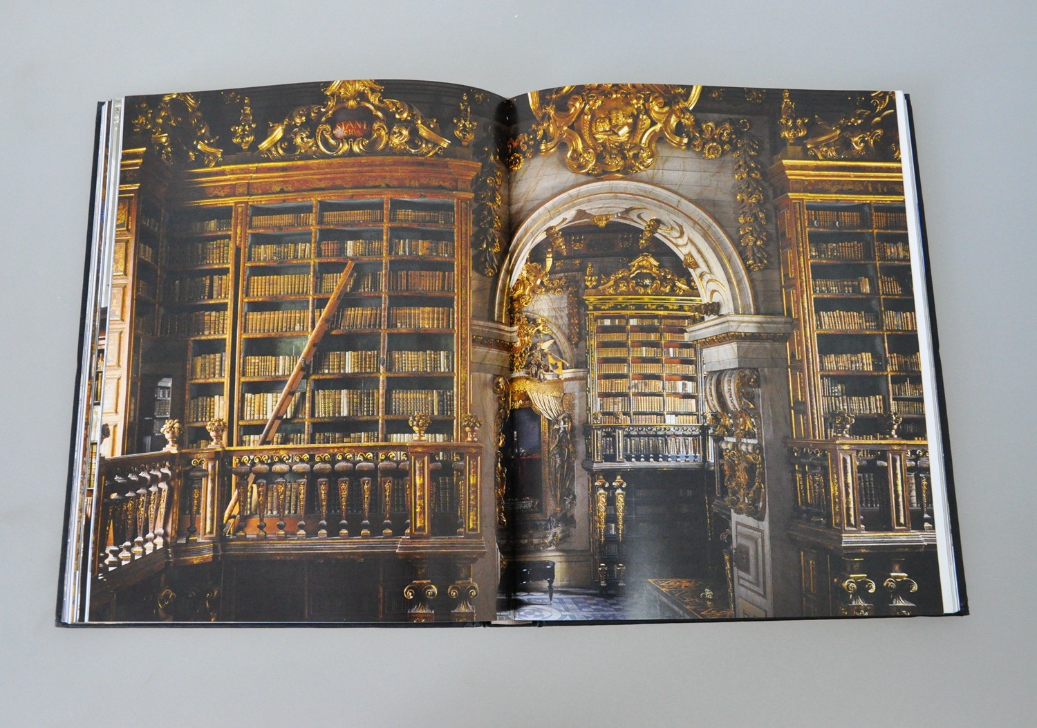 浙江人美出版社直播间,2020浙江文艺出版社新书