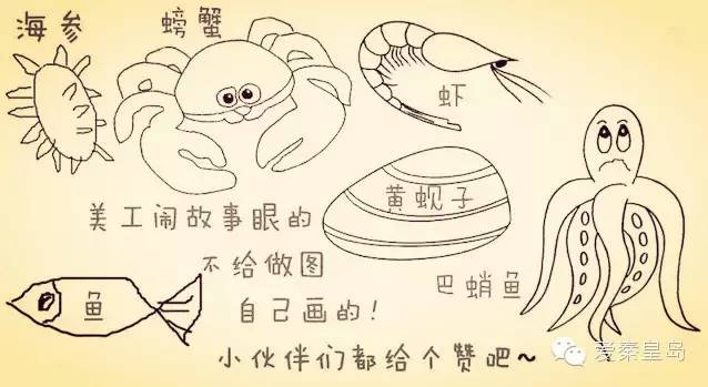 秦皇岛海鲜不重样,秦皇岛海鲜推荐