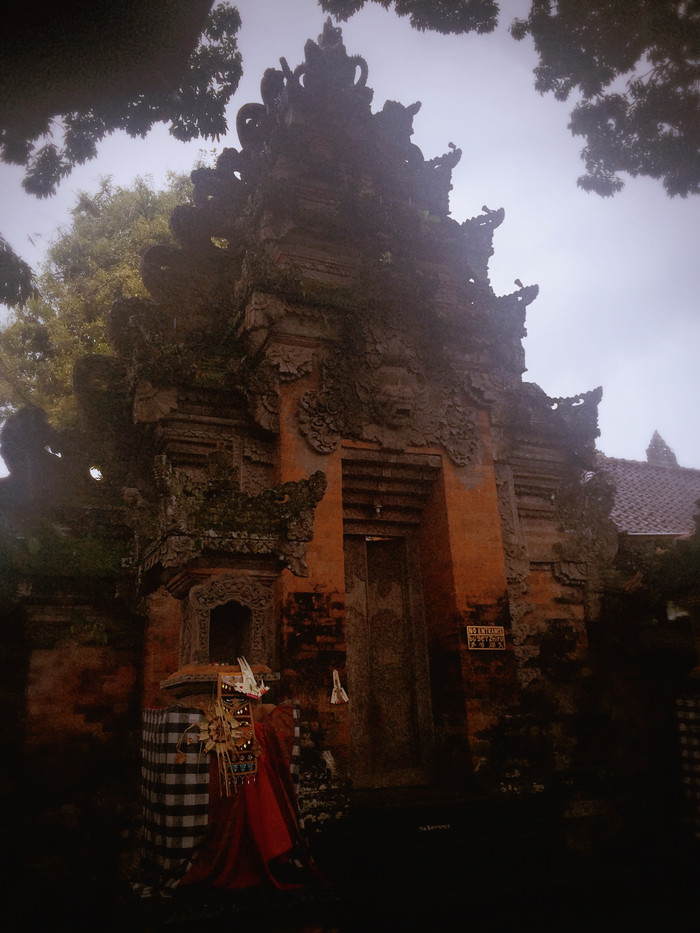 梦幻巴厘只属于你我的蜜月~~逗逼文字、气质趣图