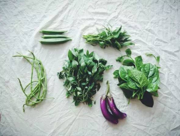 “1/7农”:如果每周只能下地一天,那就试试“懒人务农法”吧