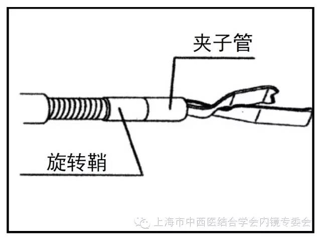 消化内镜护理配合教学视频,消化内镜取样钳
