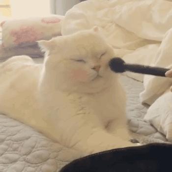 洗面奶不好能洗干净脸吗,洗面奶不好用会有什么效果