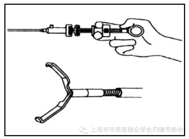 消化内镜护理配合教学视频,消化内镜取样钳