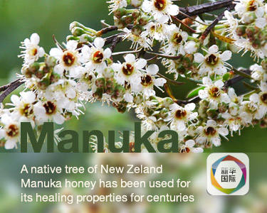 爆款细思极恐的细节 (那些让人吐槽的爆款单品大盘点)