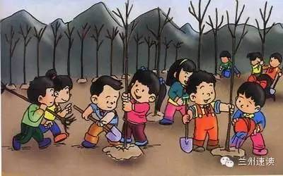 养花花草草的秘诀,养花花草草真不是件简单事