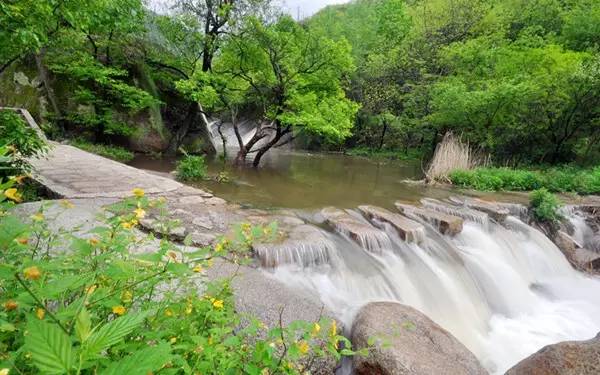老板：“今天我要请假去神灵寨坐花轿，赢终身免门票”！请批准！