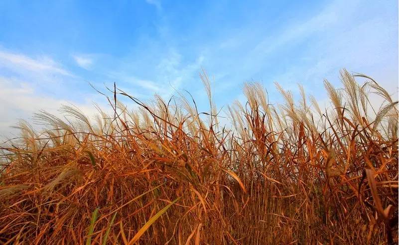 陕西韩城有哪些值得去的,韩城有啥地方可去