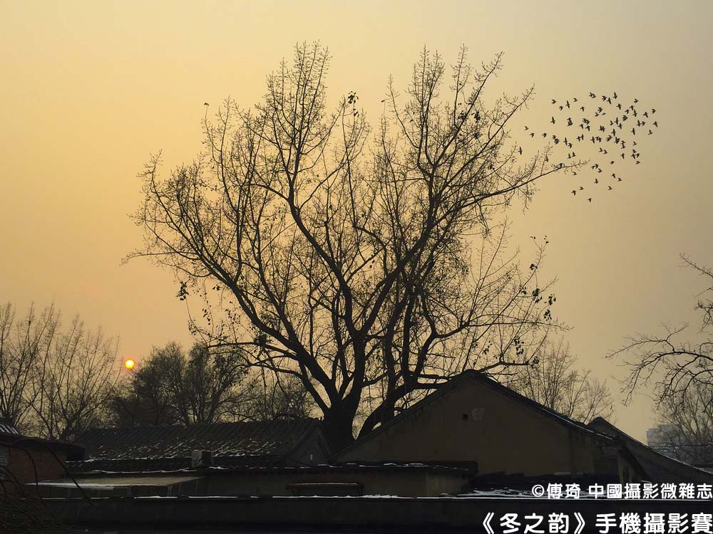 《冬之韵》第八季十佳手机摄影作品公示