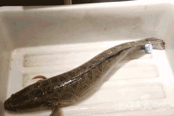 上海市杜蕾斯,杜蕾斯超薄与至尊超薄差距大吗