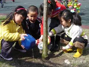 养花花草草的秘诀,养花花草草真不是件简单事
