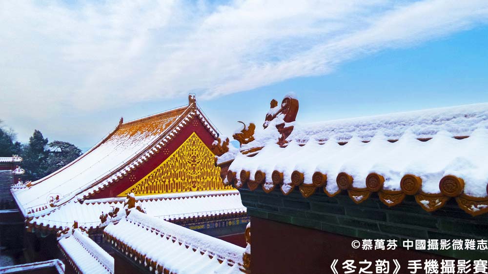 《冬之韵》第八季十佳手机摄影作品公示