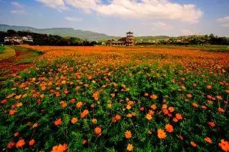 重庆免费景区有哪些地方,重庆景区有哪些景点门票免费
