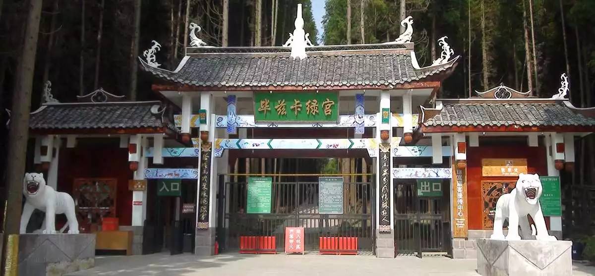 重庆免费景区有哪些地方,重庆景区有哪些景点门票免费