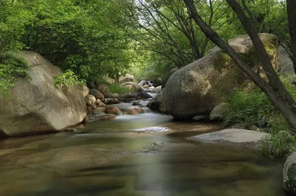老板：“今天我要请假去神灵寨坐花轿，赢终身免门票”！请批准！