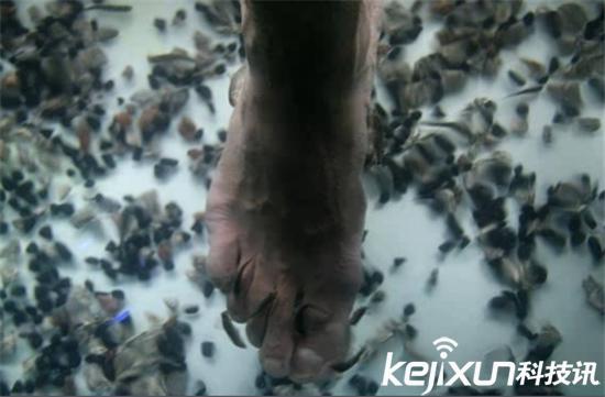 奇葩式养生,奇葩养生系列视频