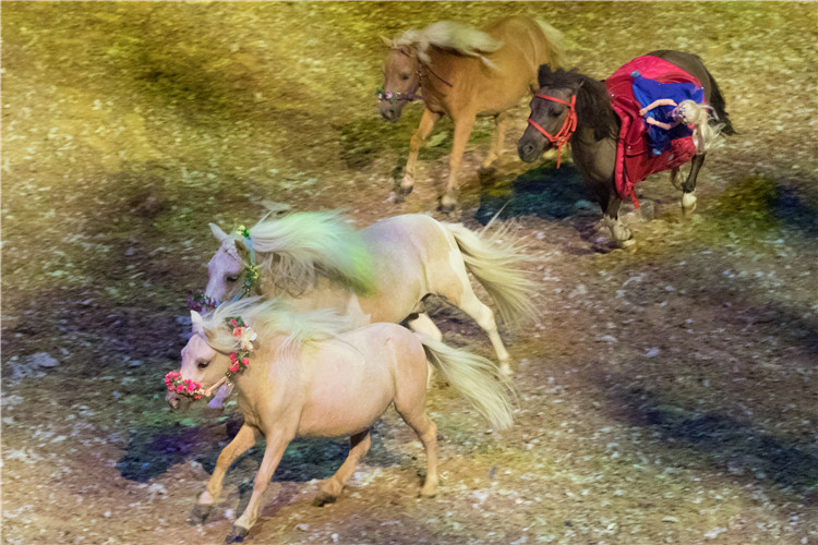 北京比欢乐谷好玩的地方,北京鸟巢儿童游玩攻略