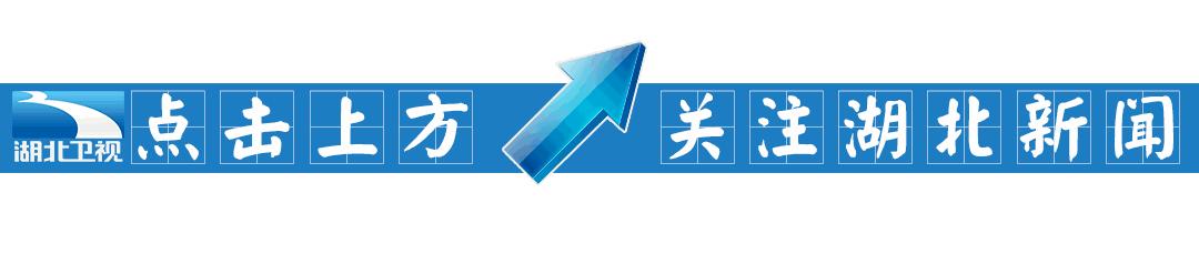 中国十大毒性最强动物,十大最强剧毒动物