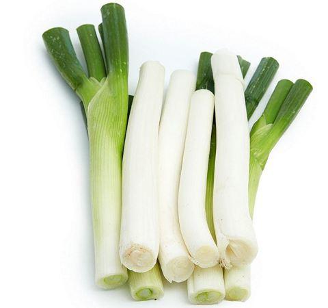 怎么去除月季上的蚜虫,如何消灭月季蚜虫小妙招