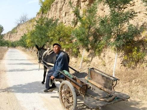 吃过“酸饭”的请举手