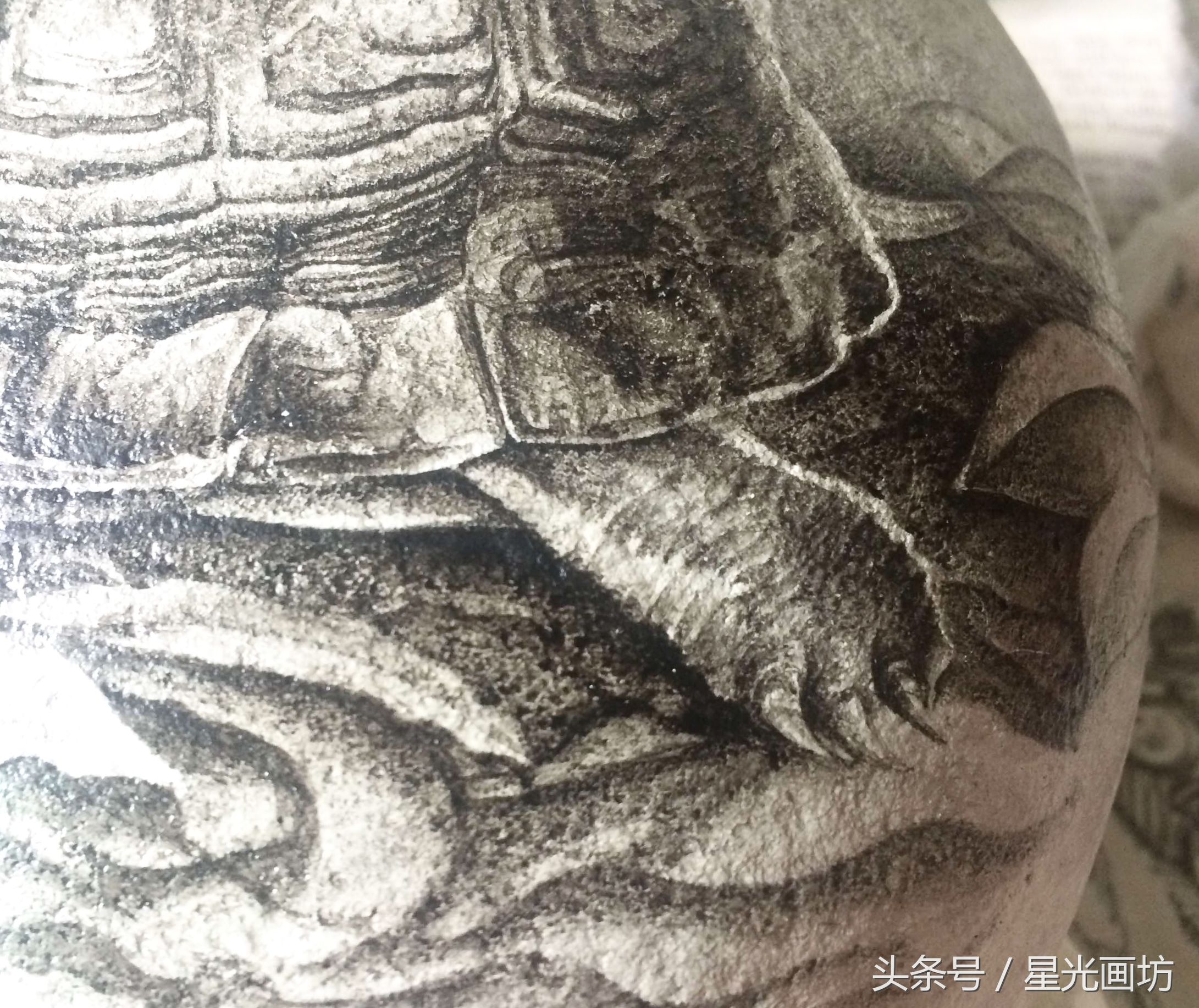 石头上画乌龟教程,龟石头画教程